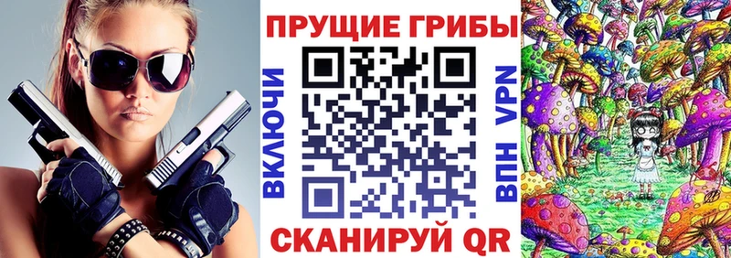 Псилоцибиновые грибы ЛСД где купить наркоту Шатура